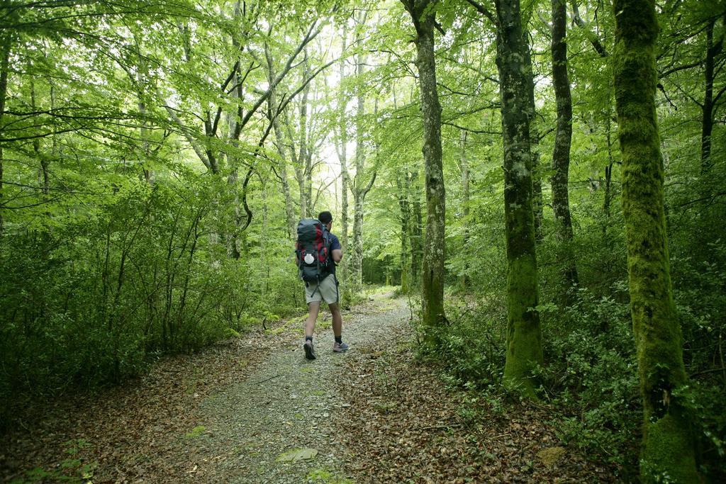 Villa La Borda Del Zarrastiecho Sallent de Gállego Zimmer foto